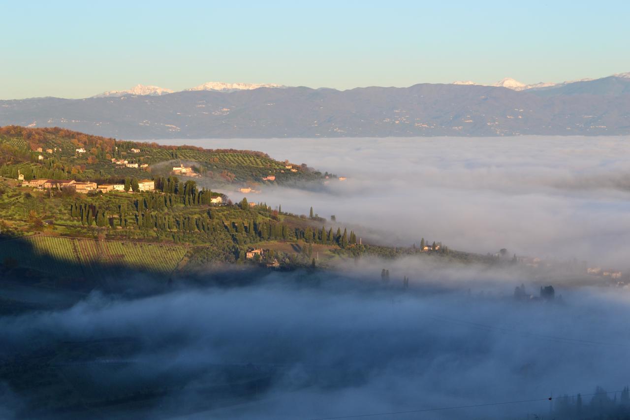 Bed and Breakfast Tenuta Di Capezzana Seano Екстер'єр фото