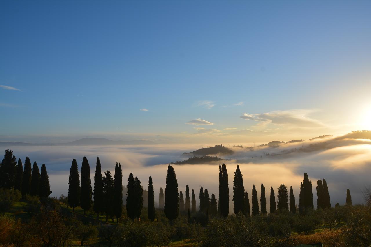 Bed and Breakfast Tenuta Di Capezzana Seano Екстер'єр фото